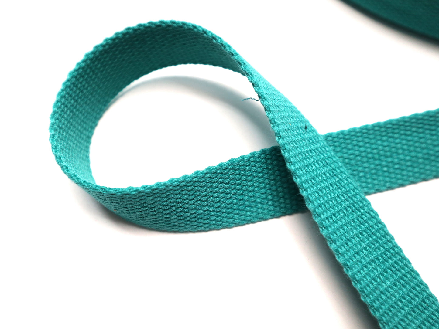 1" Webbing By the Yard - Tropical Blue