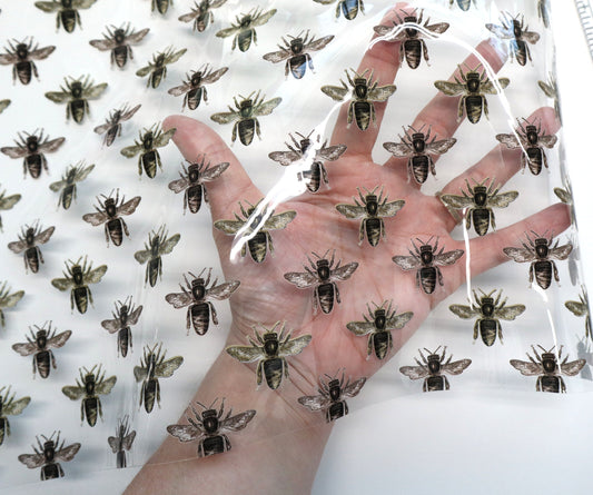 Clear TPU- I said BEES!